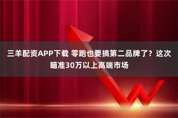 三羊配资APP下载 零跑也要搞第二品牌了？这次瞄准30万以上高端市场